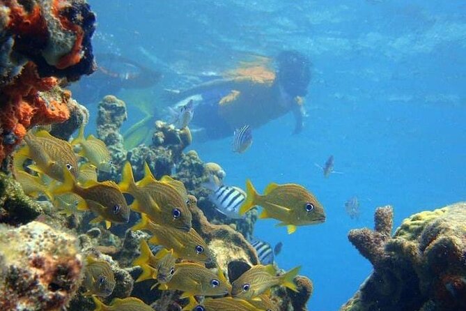 5 islands tour to rosario Islands with snorkeling activity! - Value, inclusions, and where extra costs can sneak in