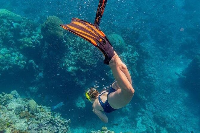 5 islands tour to rosario Islands with snorkeling activity! - Islas de Rosario: private-island relaxation and shrimp cocktail time