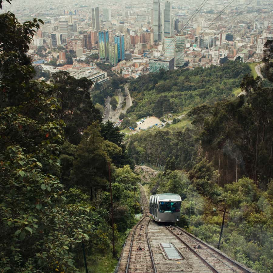 7-hour City Tour of Historic Bogotá with Monserrate - Coffee and fruit tastings, the easy way to taste Colombia