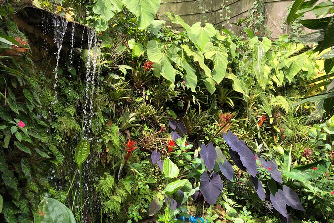 Admission to Andoke Butterfly Center in Cali with Release Ritual - Key highlights to expect