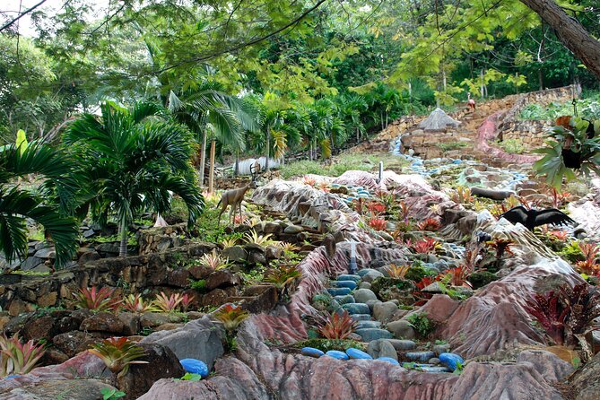 Admission to Andoke Butterfly Center in Cali with Release Ritual - What the guide and small-group size change for you
