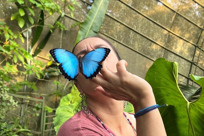 Admission to Andoke Butterfly Center in Cali with Release Ritual - Where Mariposario Andoke fits on a Cali trip