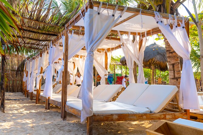 Adventure full day Isla Barú + Mangroves + Snorkel + bioluminescent plankton - Value check: $65 for a full day, and where it can feel worth it or not