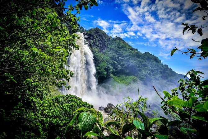 Aerial Hammocks, Zip and Waterfall Trek on Medellin Private Tour - Why the $249.99 Private Price Can Make Sense