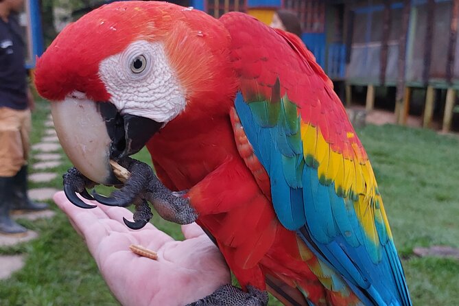 Amazon Unveiled: Private Ancestral Immersion & Conscious Luxury - Day 1: Leticia port to Puerto Nariño, the Amazon slows you down