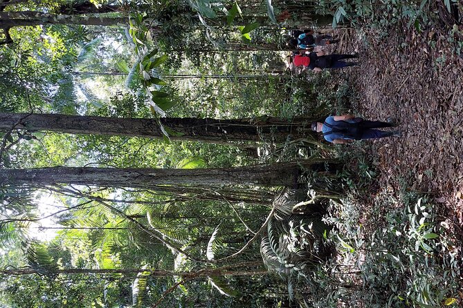 Amazon Unveiled: Private Ancestral Immersion & Conscious Luxury - The wildlife and activity style: expect hands-on, not just sightseeing