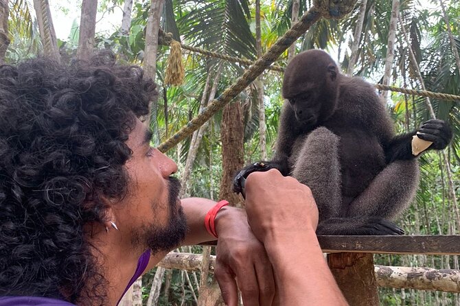 Amazon Unveiled: Private Ancestral Immersion & Conscious Luxury - Day 2: Wochine reserve, Pirarucú, Victoria Regia, then town history
