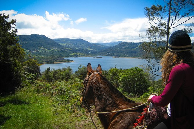 Andes Mountains Horseback Riding - Half Day - Key highlights to know before you go