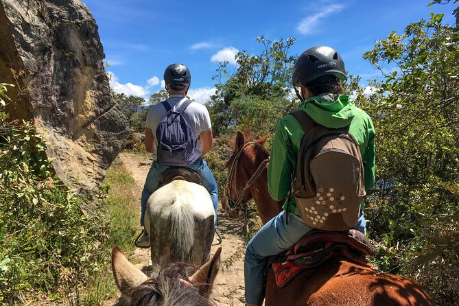 Andes Mountains Horseback Riding - Half Day - Group size and the reality of sharing the ride