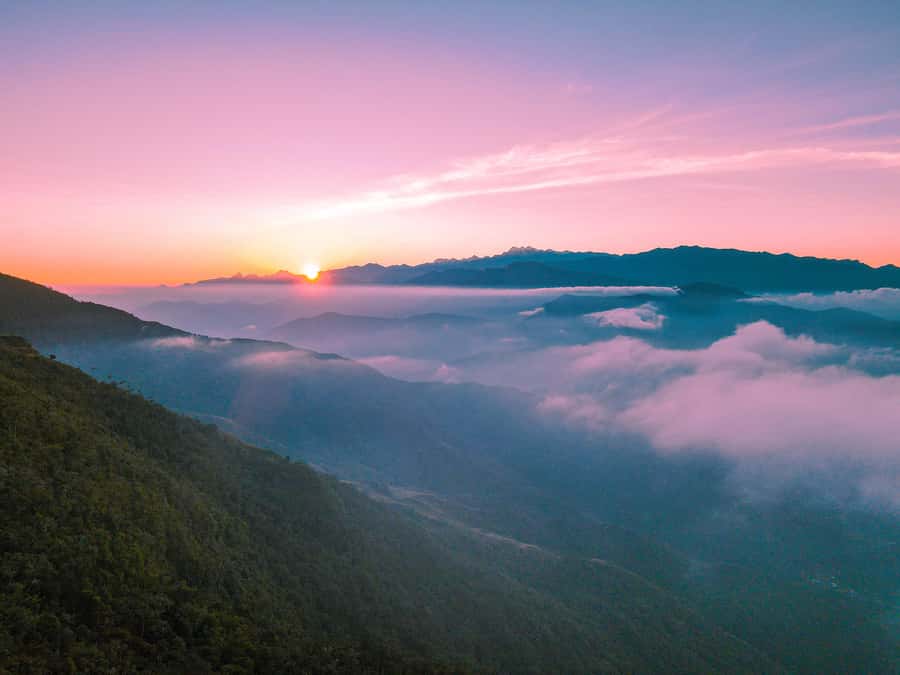 Avistamiento de aves en Minca Sierra Nevada de Santa Marta - Amanecer en Minca: por qué empiezas tan temprano