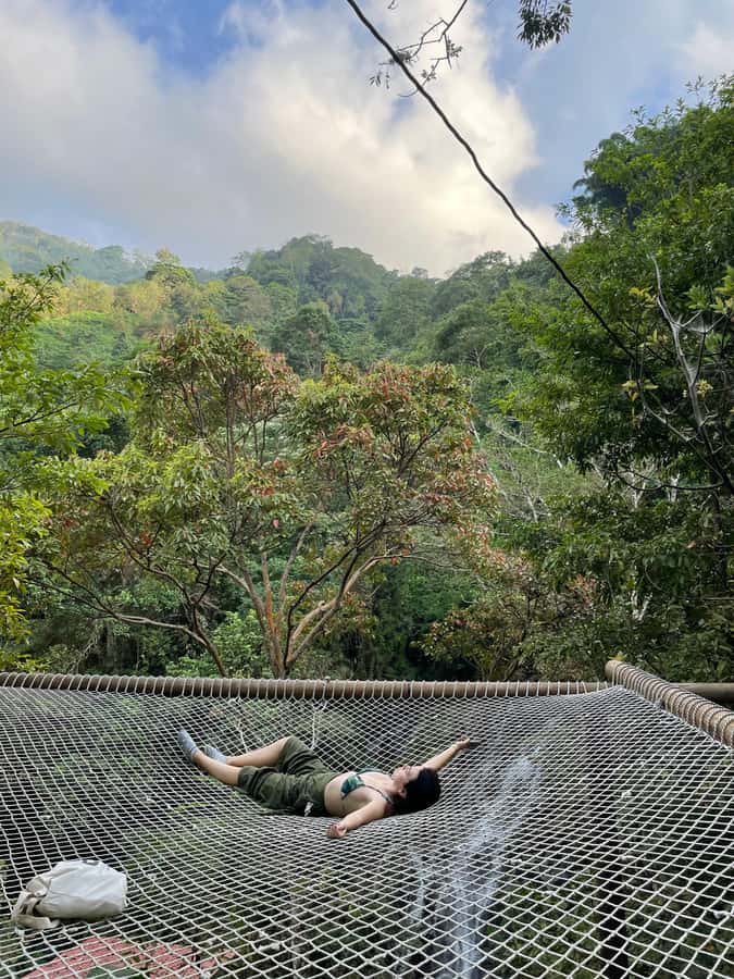 Avistamiento de aves en Minca Sierra Nevada de Santa Marta - Caminata de 3 horas en selva: cómo se ven tucanes, colibríes y búhos
