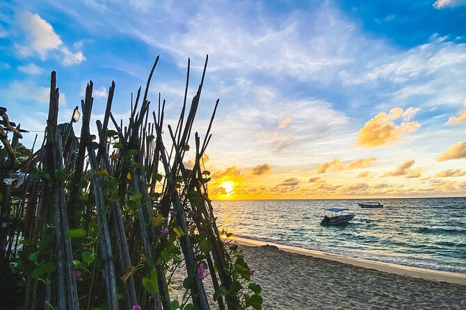Baru and Playa Blanca Full Day - Timing, crowd level, and why your arrival hour matters