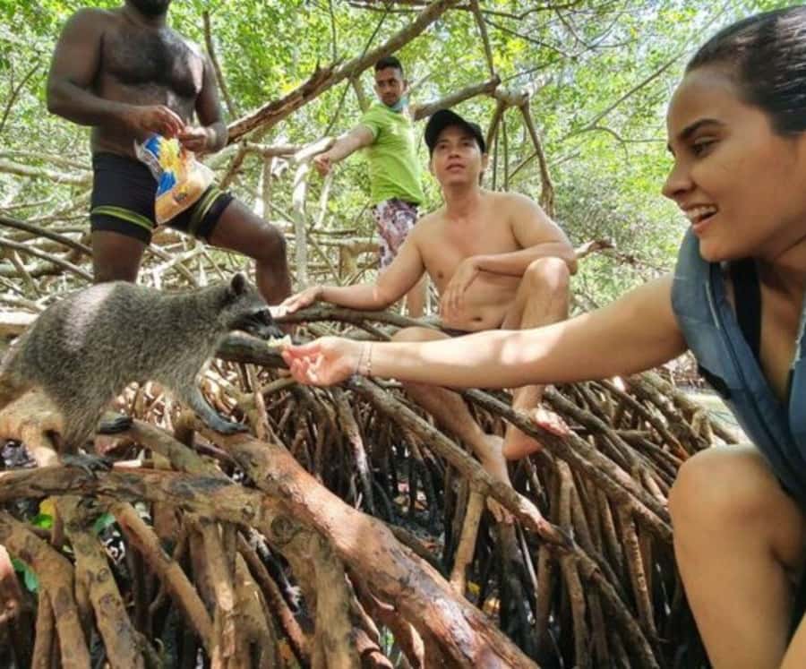 Barú: Club Freedom Beach with Mangrove and Snorkel - Should you book Barú: Club Freedom Beach with mangroves and snorkel?