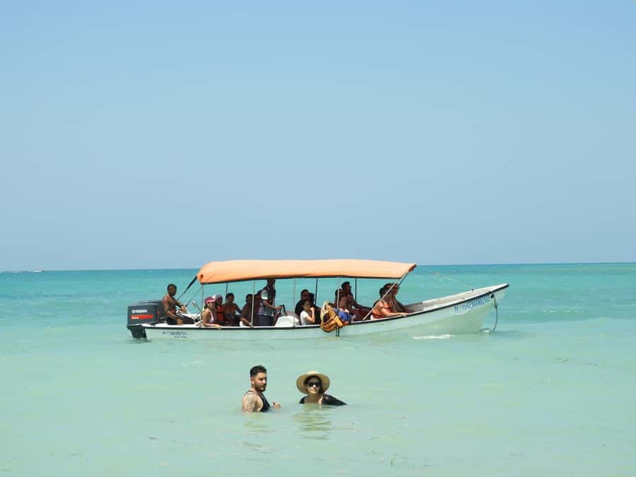 BARÚ: Enjoy the magic of Baru choosing best option for you - Lunch and coffee tasting, because food affects the whole mood
