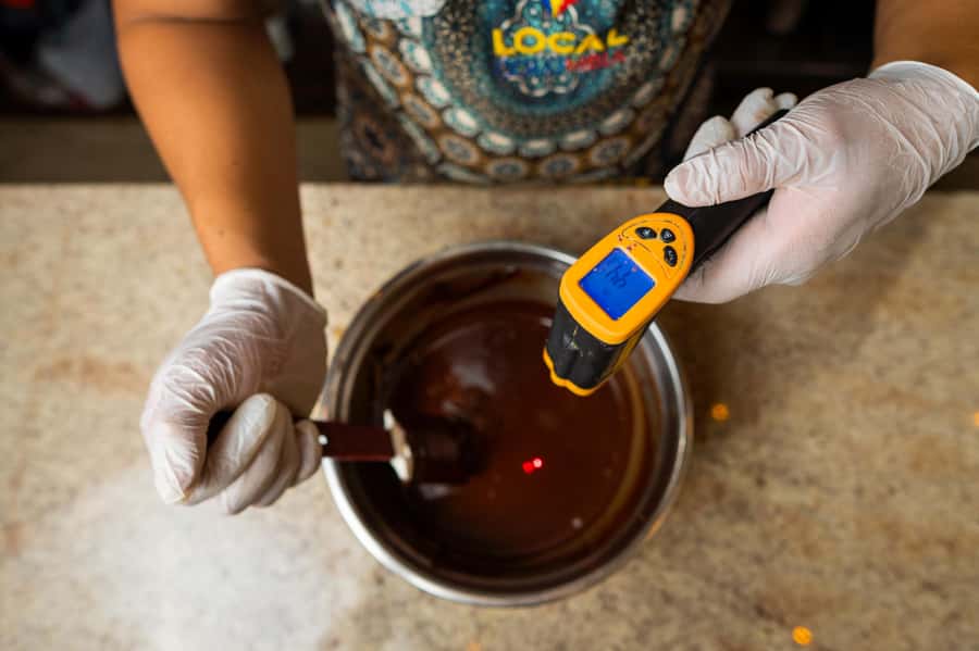 Bean to Bar: Cocoa and Chocolate Workshop - Bean-to-bar workshop in Bolívar: what you’re really doing