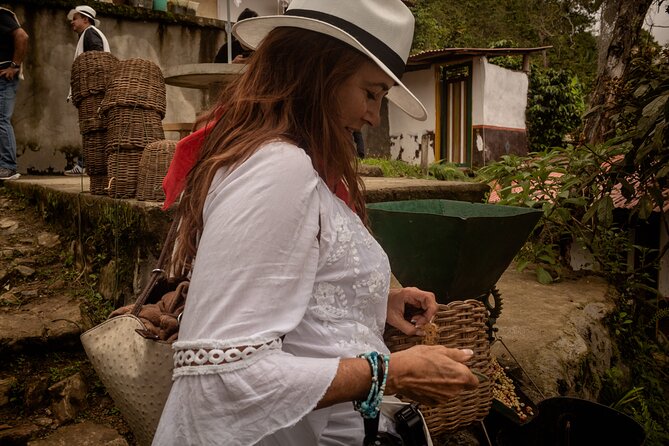 Best Coffee Tour from Medellin with Lunch and Transportation - What the 6.5-hour structure feels like in real life