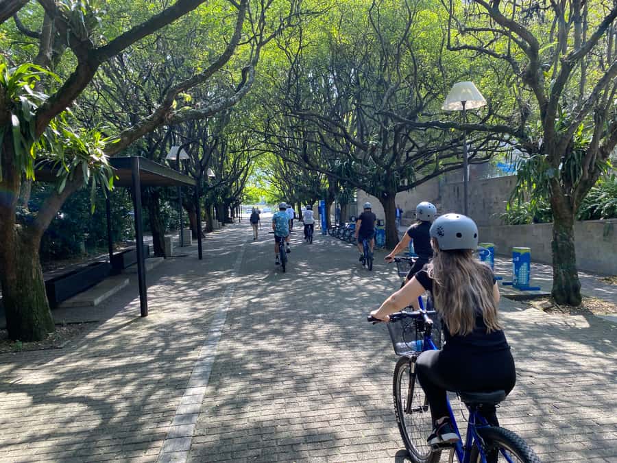 Bike Tour Medellin with Snacks and Local Beer - Plaza Botero: the sculpture stop that anchors the center