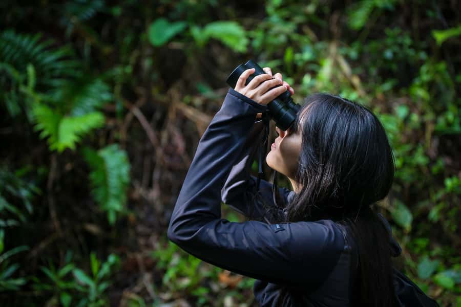 Birding Medellin with expert bird-watcher (Private) - Why birding this mountain reserve is worth your Medellin time