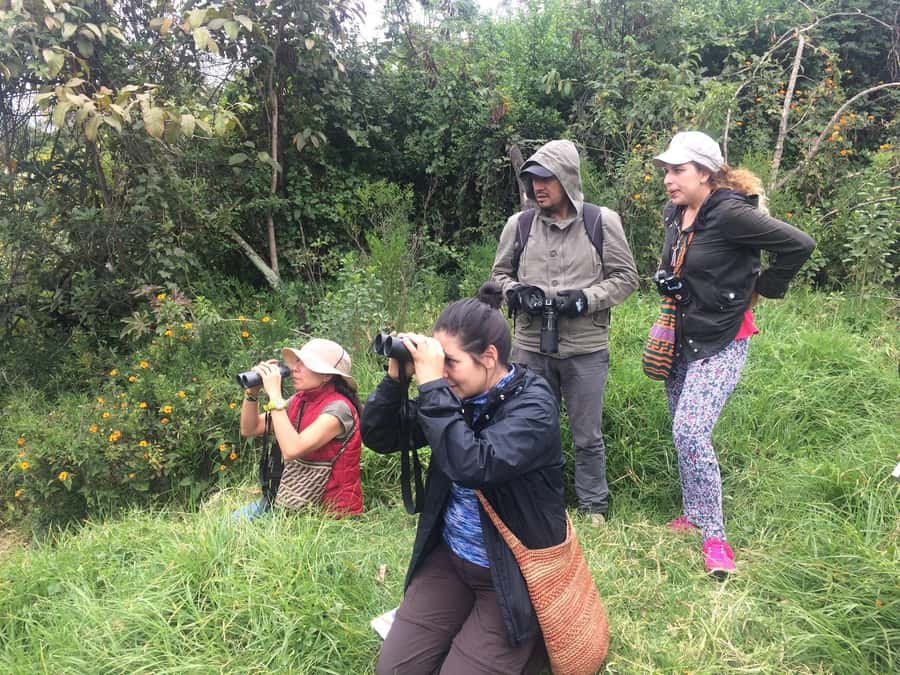 Birdwatching Day Tour at Chicaque Natural Park - Getting from Bogotá to Chicaque: your 8-hour birding day