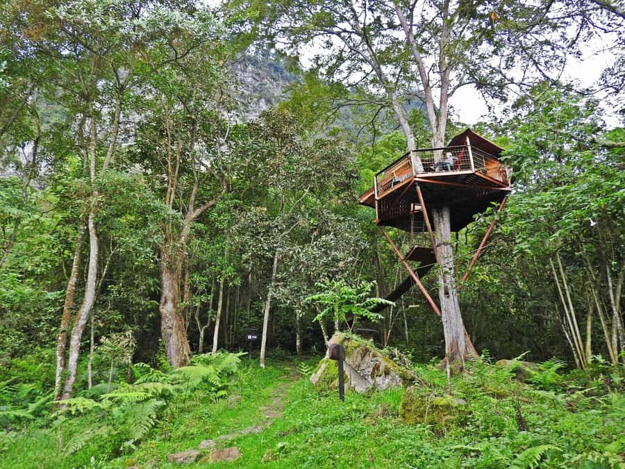 Birdwatching Day Tour at Chicaque Natural Park - Who this tour is best for (and who should think twice)