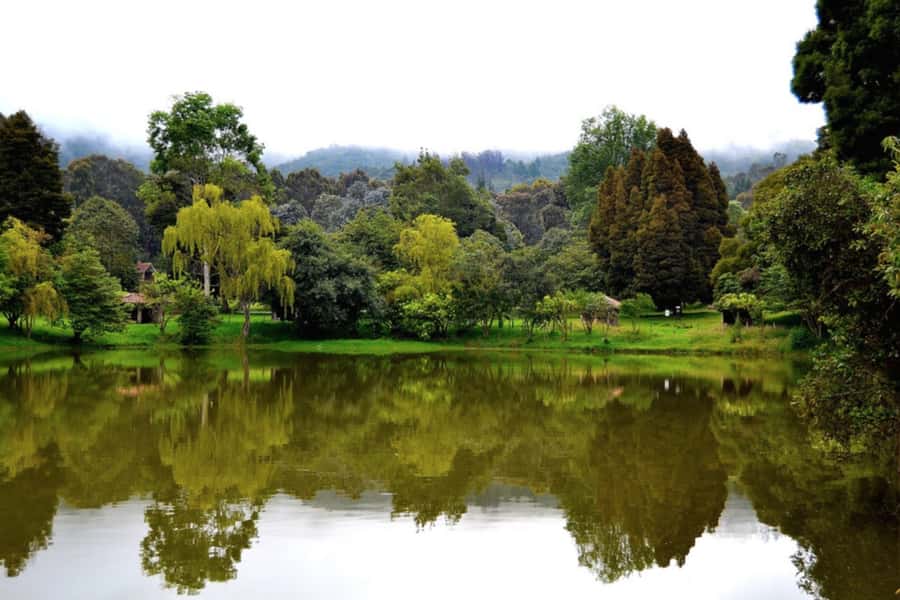 BOGOTA: Ancestral Exploration, Tour Facatativá, Piedras del Tunjo and Zipacón - The Bogotá Savannah, in One Reliable 6.5 Hour Loop