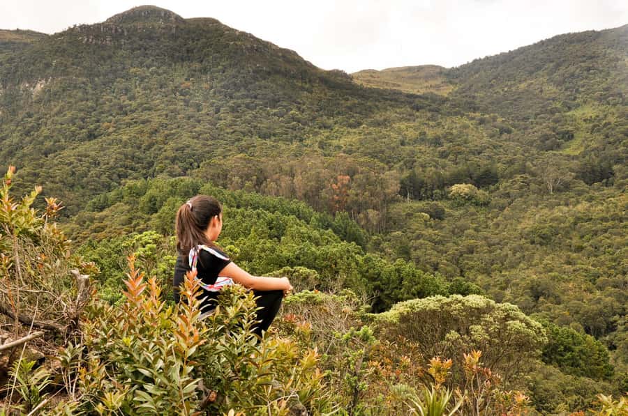 Bogota: East Hills Mountain Hike - Moyas viewpoint: paramo plants, stone formations, and city views that take your breath