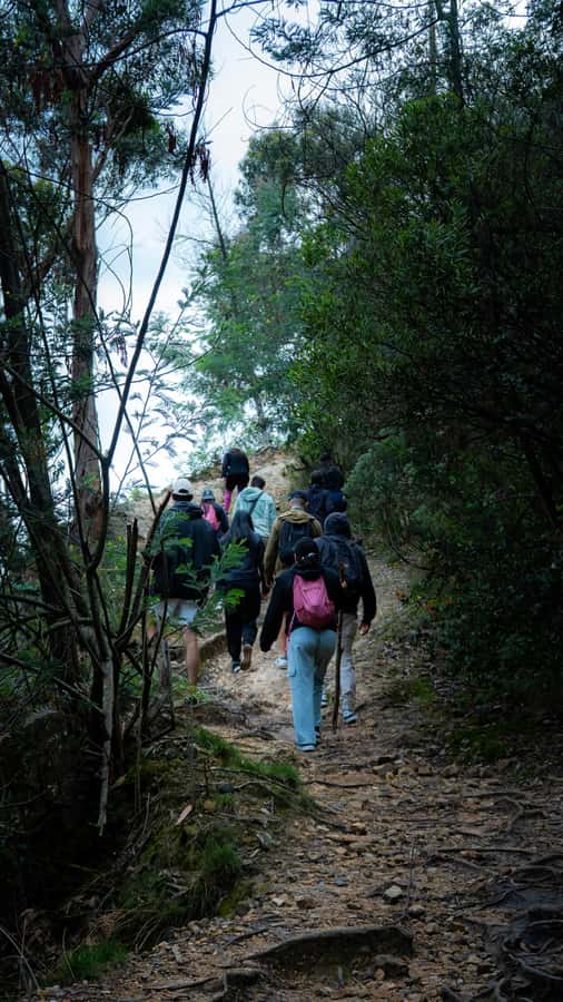 Bogota: East Hills Mountain Hike - The guide’s job: biodiversity lessons that make the hike feel purposeful