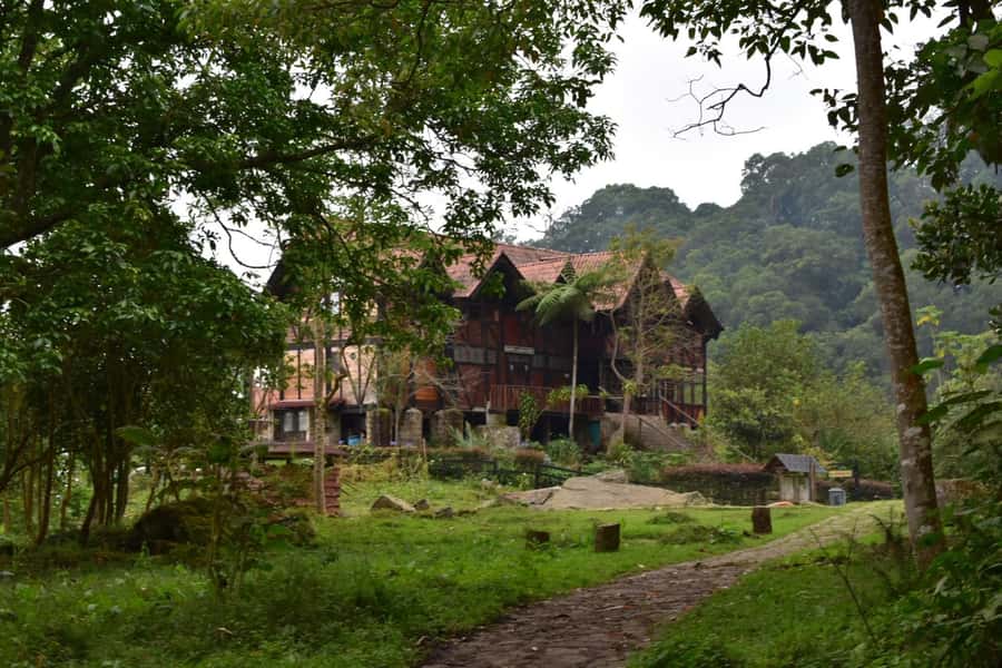 Bogota: Explore the forest and bird watching at Chicaque Natural Park - Key Highlights to Know Before You Go