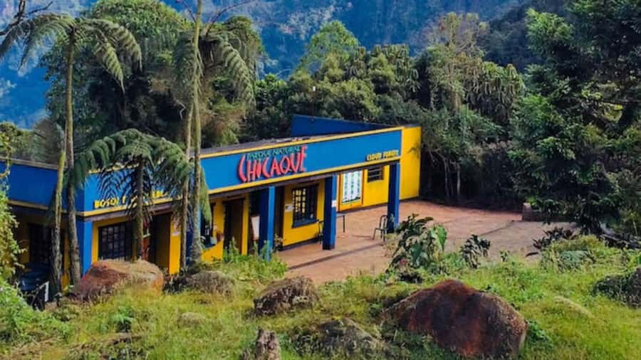 Bogota: Explore the forest and bird watching at Chicaque Natural Park - Guided Trails, Orchids, and the Waterfall Hike