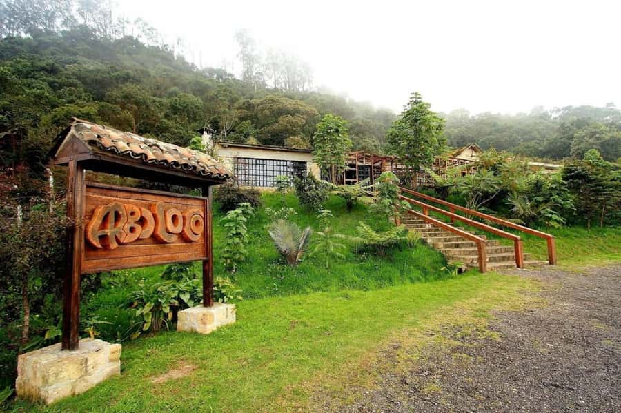 Bogota: Explore the forest and bird watching at Chicaque Natural Park - How the Morning Runs: Photo Stops, a Mini Lesson, and Trail Timing