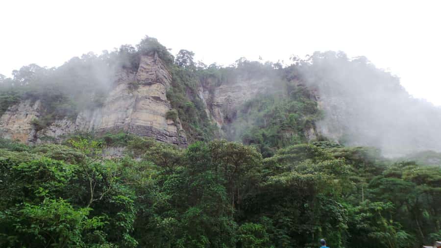 Bogota: Explore the forest and bird watching at Chicaque Natural Park - Lunch in a Scenic Park Eating Area, Plus Quiet Time to Enjoy It