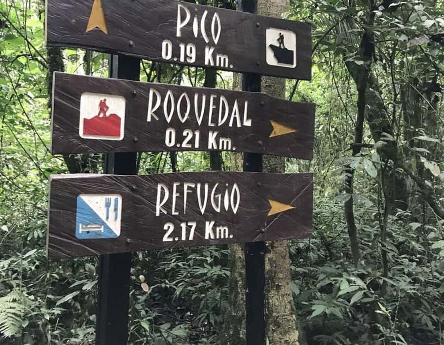 Bogota: Explore the forest and bird watching at Chicaque Natural Park - Should You Book Chicaque for Bird Watching?