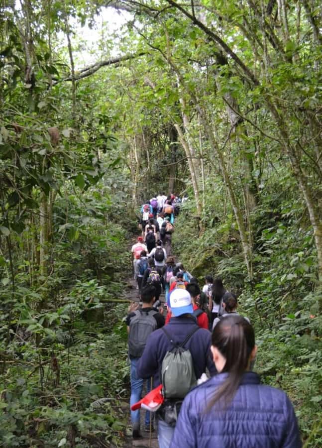 Bogota: Explore the forest and bird watching at Chicaque Natural Park - Getting There: Private Pickup and Mountain Views From Bogotá