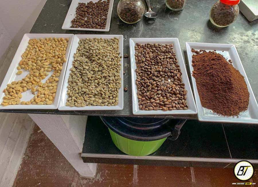Bogotá: Guided Coffee Tour with Lunch, and Pickup & Drop-Off - Entering Hacienda Coloma: The Farm, the Garden, and Why It Matters