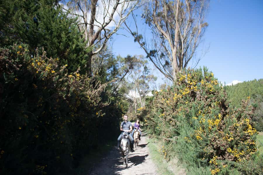 Bogota: Horseback Riding Tour - Key Points Before You Ride