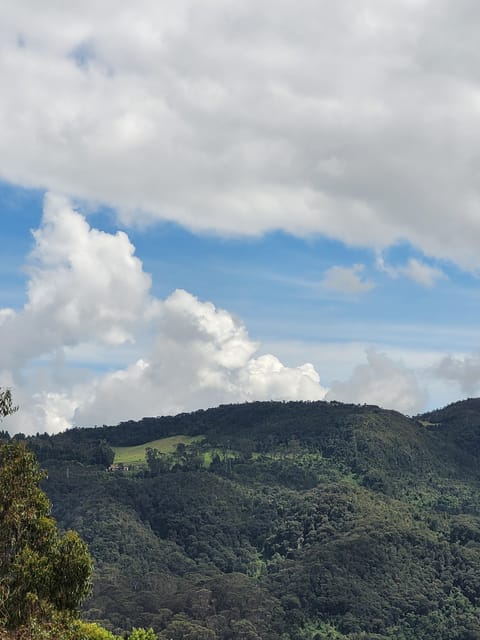Bogota: Private Tour to Monserrate and Guadalupe - Monserrate Sanctuary and the Statue of the Fallen Lord