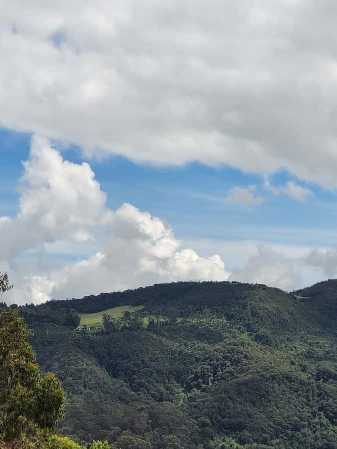 Bogota: Private Tour to Monserrate and Guadalupe - Descending and Heading to Guadalupe: Second Views, Different Feel