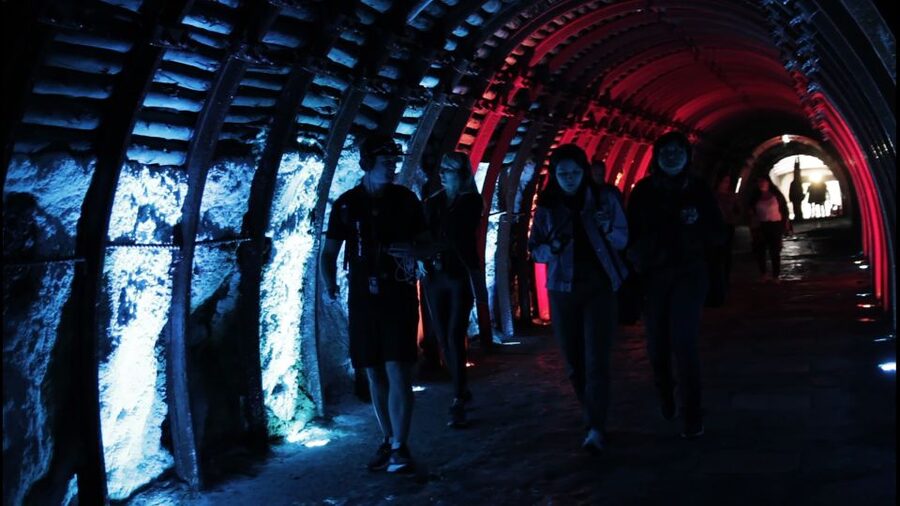 Bogotá: Salt Cathedral Private Tour with Entry Ticket Basic - Quick Reasons This Trip Works