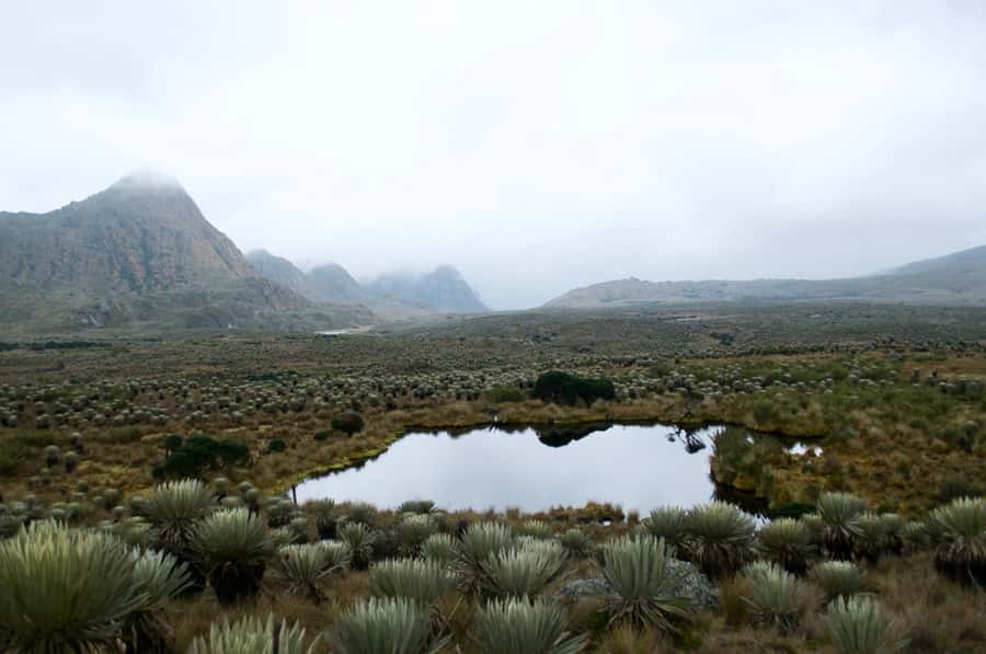 Bogotá: Sumapaz National Park Hike Tour - Sumapaz National Park and the páramo you came to see