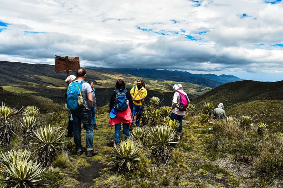 Bogotá: Sumapaz National Park Hike Tour - Flora, frailejones, and the “water well” lesson you’ll remember