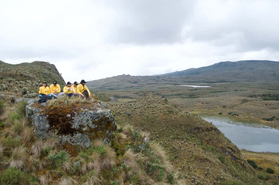 Bogotá: Sumapaz National Park Hike Tour - What you might get at the end: arepas, panela tea, and a small local stop