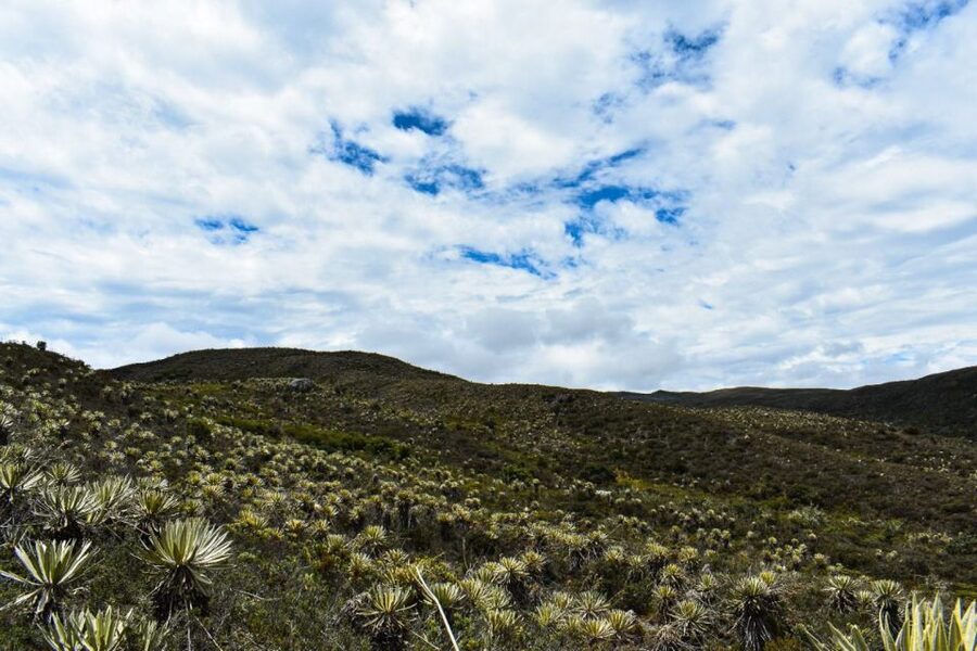 Bogotá: Sumapaz National Park Hike Tour - What to bring for cold, wet páramo conditions