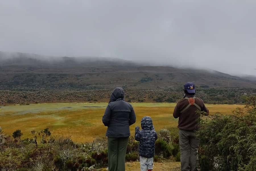 Bogotá: Sumapaz National Park Hike Tour - Getting out of Bogotá: pickup, drive, and starting the climb