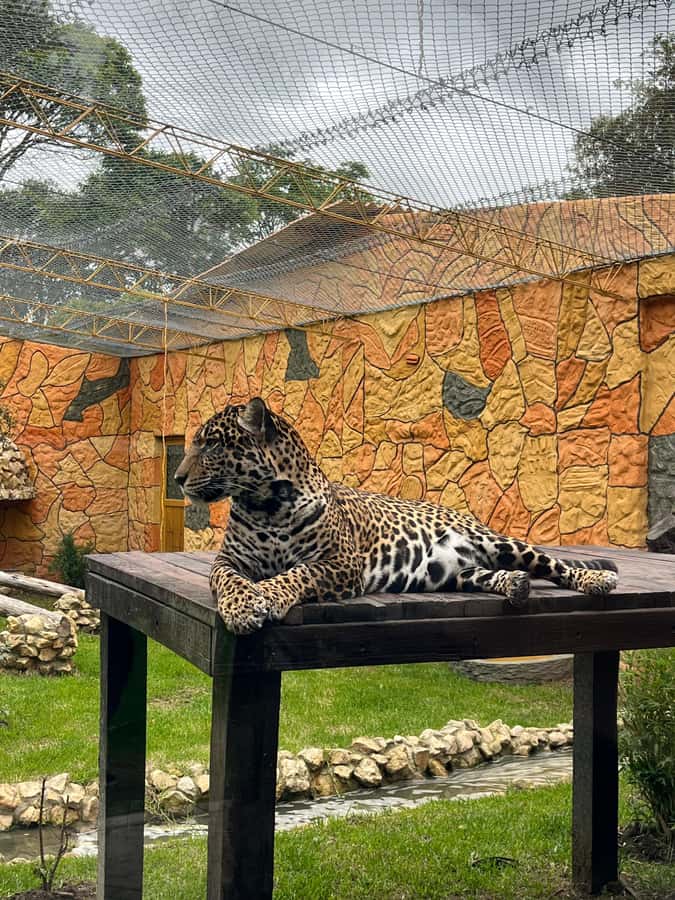 BOGOTA: Tour of Jaime Duque Park, Zoo, and Aerospace Museum - Should you book this Jaime Duque Park tour?