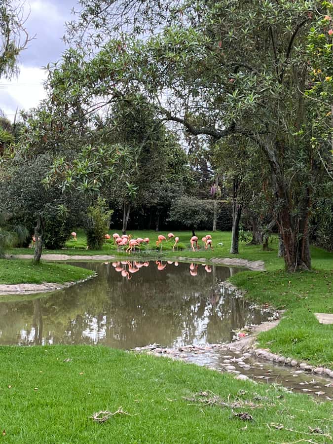 BOGOTA: Tour of Jaime Duque Park, Zoo, and Aerospace Museum - Jardín de la Fuente de Los Ángeles: where the day slows down