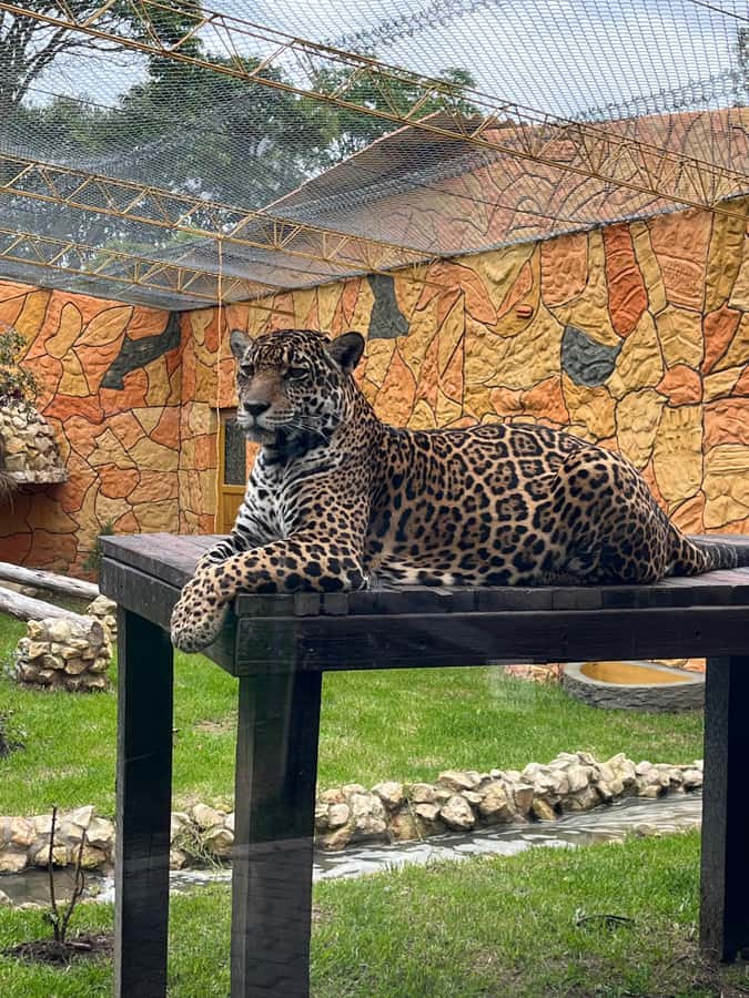 BOGOTA: Tour of Jaime Duque Park, Zoo, and Aerospace Museum - Tocancipá photo stop and a regional lunch break