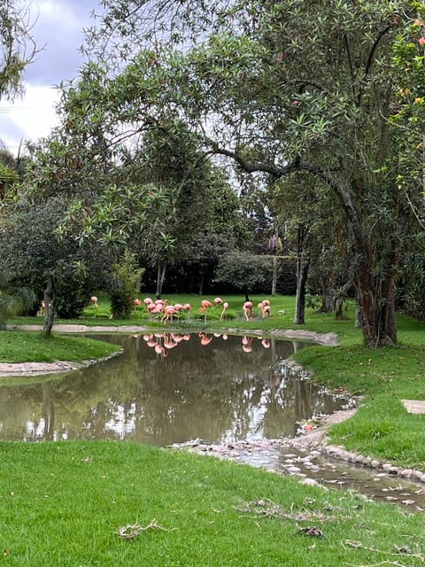 BOGOTA: Tour of Jaime Duque Park, Zoo, and Aerospace Museum - Practical tips so you enjoy the walk-heavy parts