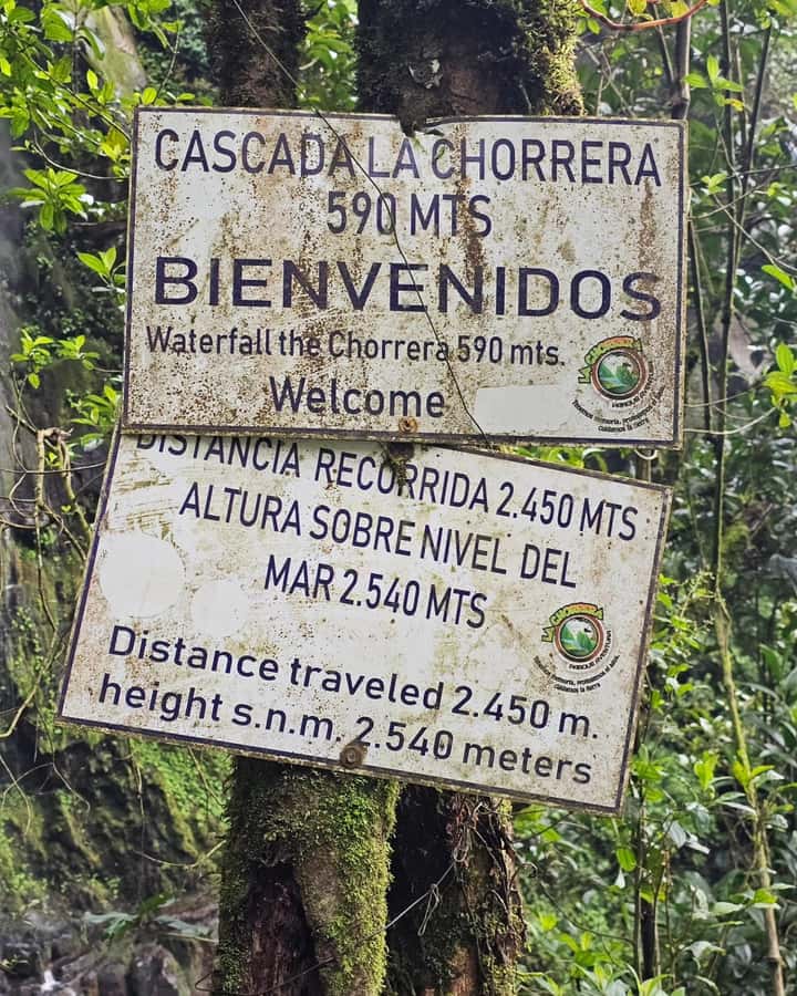 Bogotá: Visit Colombia's Highest Waterfalls & Guadalupe Hill - First Stop: El Chiflón Waterfalls and Quick Photo Time