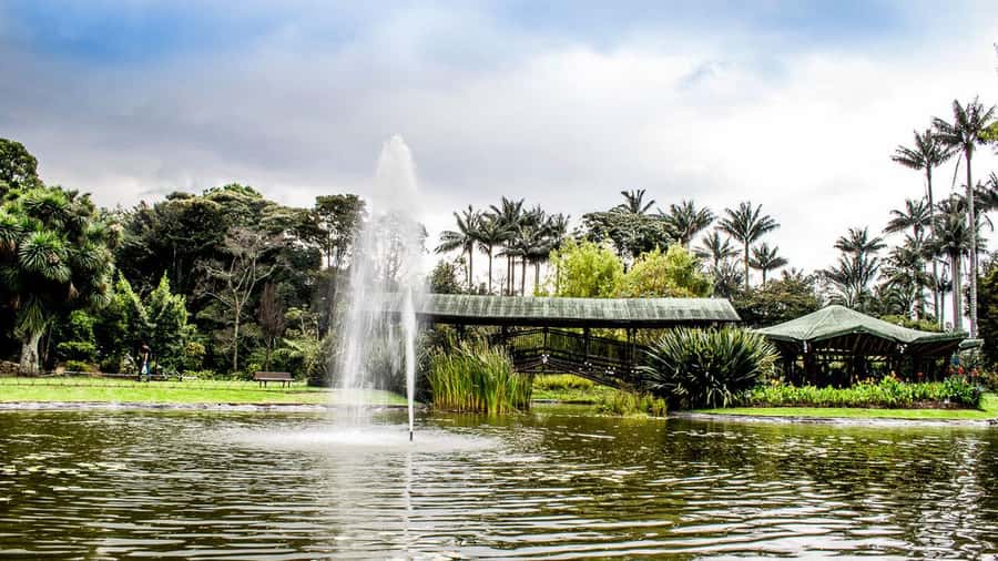 BOGOTA: Visit to the Botanical Garden and Ugly Betty's House - Quick Practical Notes Before You Go