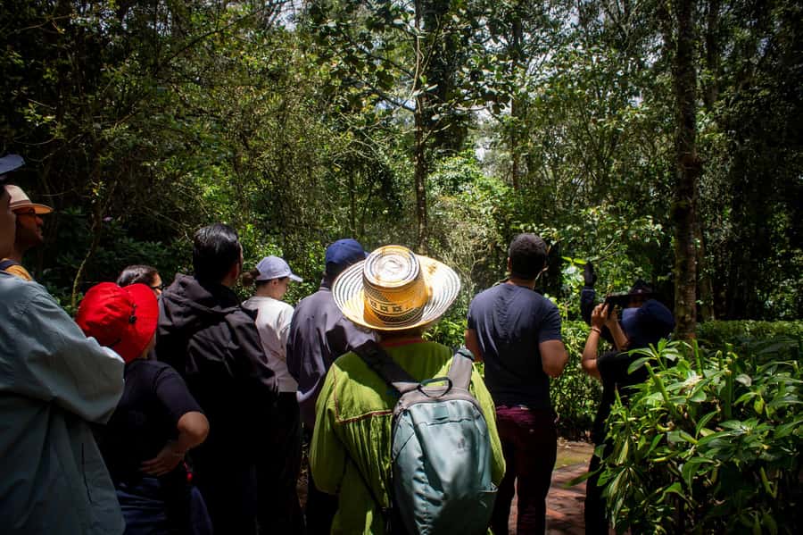 Bogota:Zipaquirá Salt Cathedral & Guatavita Trip with Pickup - Pacing, Comfort, and What to Bring for a Long Day